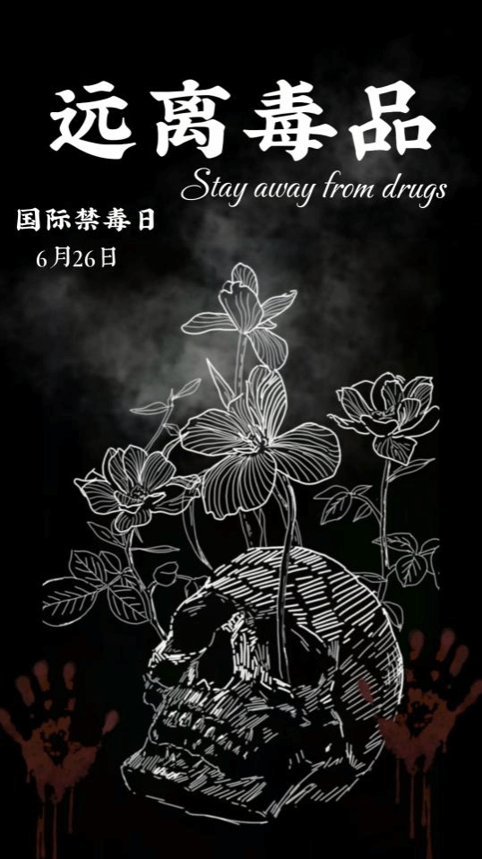 12.png 12.png